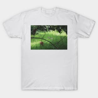 in the wilderness T-Shirt